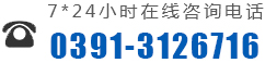 0391-3299600